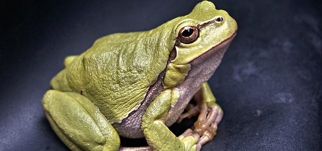 When we came from away